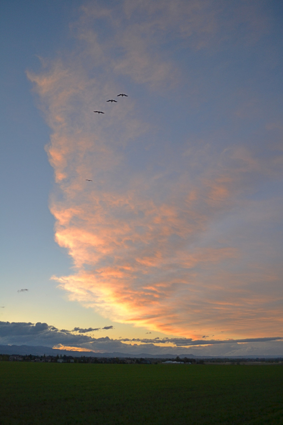Cirrus Sunset 2