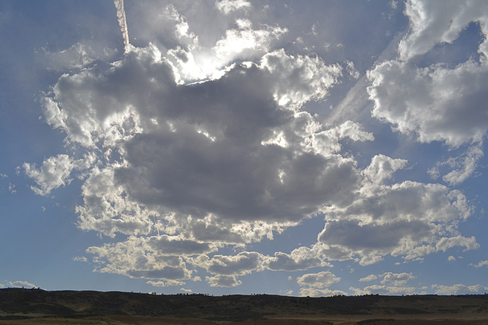 Coyote Ridge