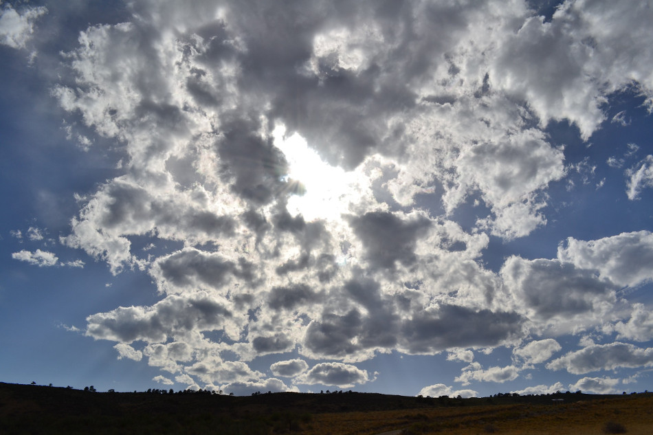 Coyote Ridge 2