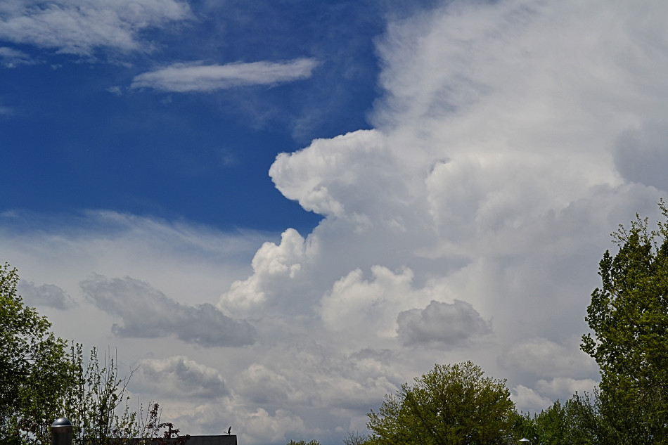 Early Afternoon Cumulus
