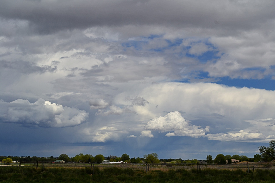 Early Afternoon Variety Clouds