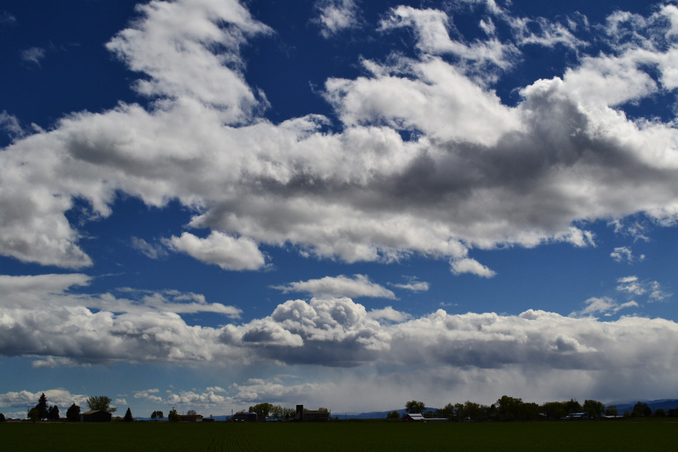 Late Afternoon Variety Clouds