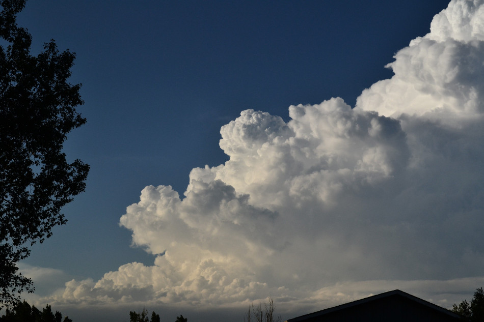 Evening Summertime Cumulus
