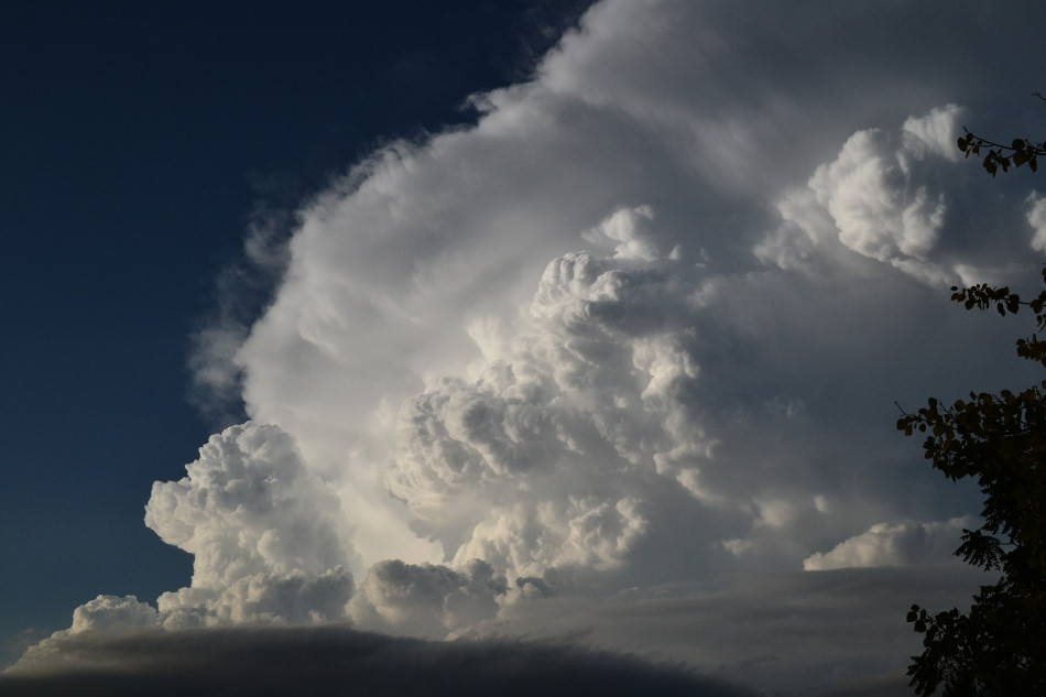 Evening Summertime Cumulus 2