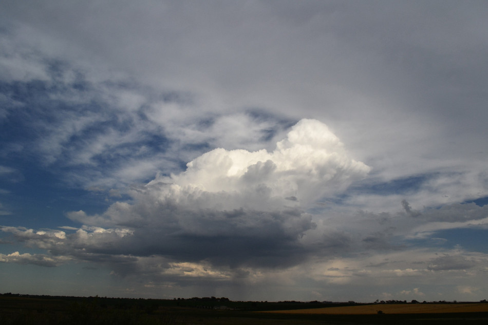 Afternoon Cumulus Clouds 2