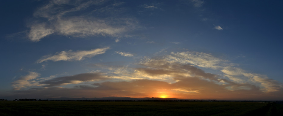 Orange & Salmon Colored Sunset Panoramic