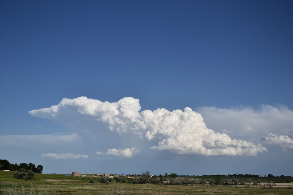Distant Cumulus Clouds
