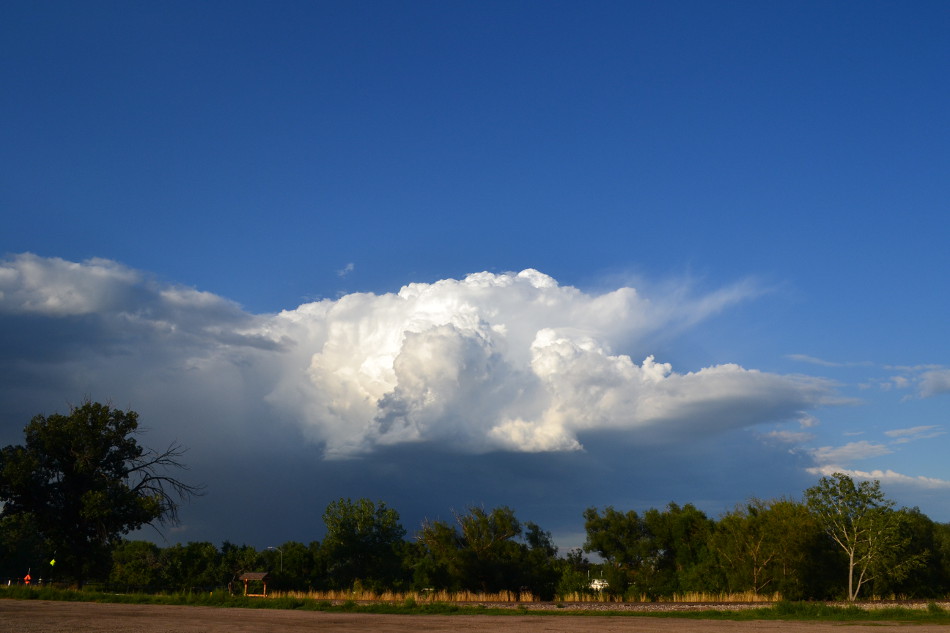 Distant Thunderstorm, Sunny Evening