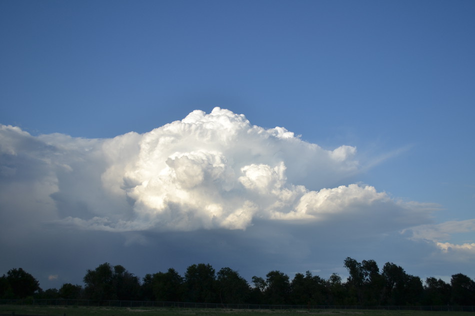 Distant Thunderstorm, Sunny Evening 2
