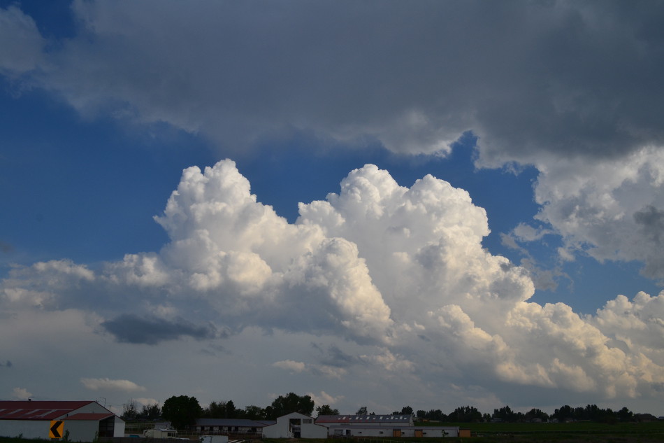 Evening Cumulus Clouds