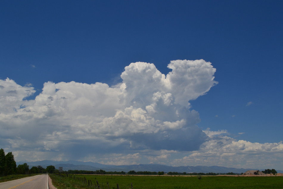 Sunny Afternoon Cumulus
