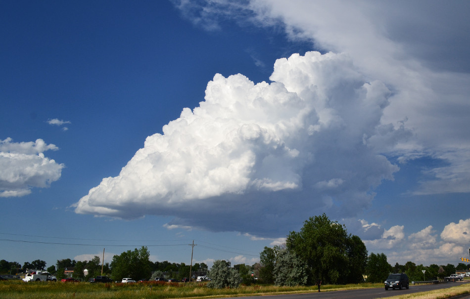 Afternoon Cumulus Clouds