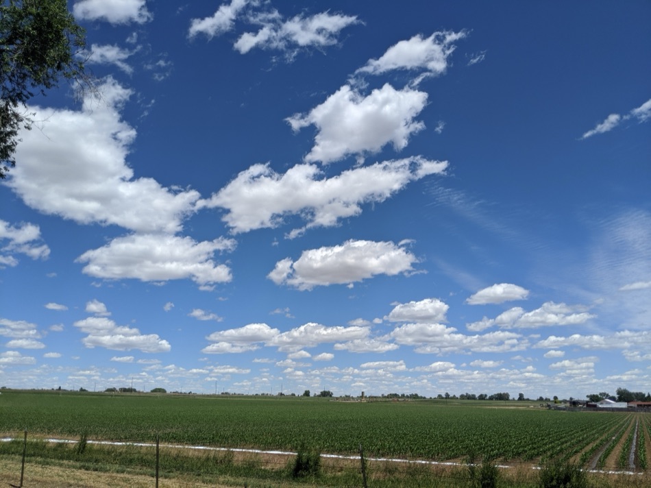 Speckled Afternoon Sky