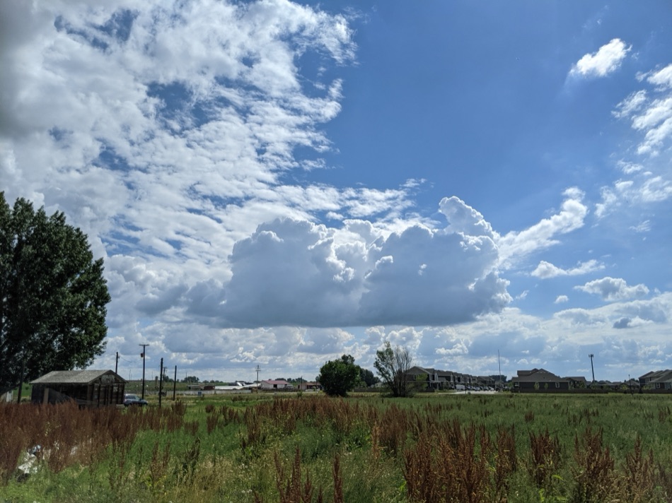 Morning Cumulus Forming