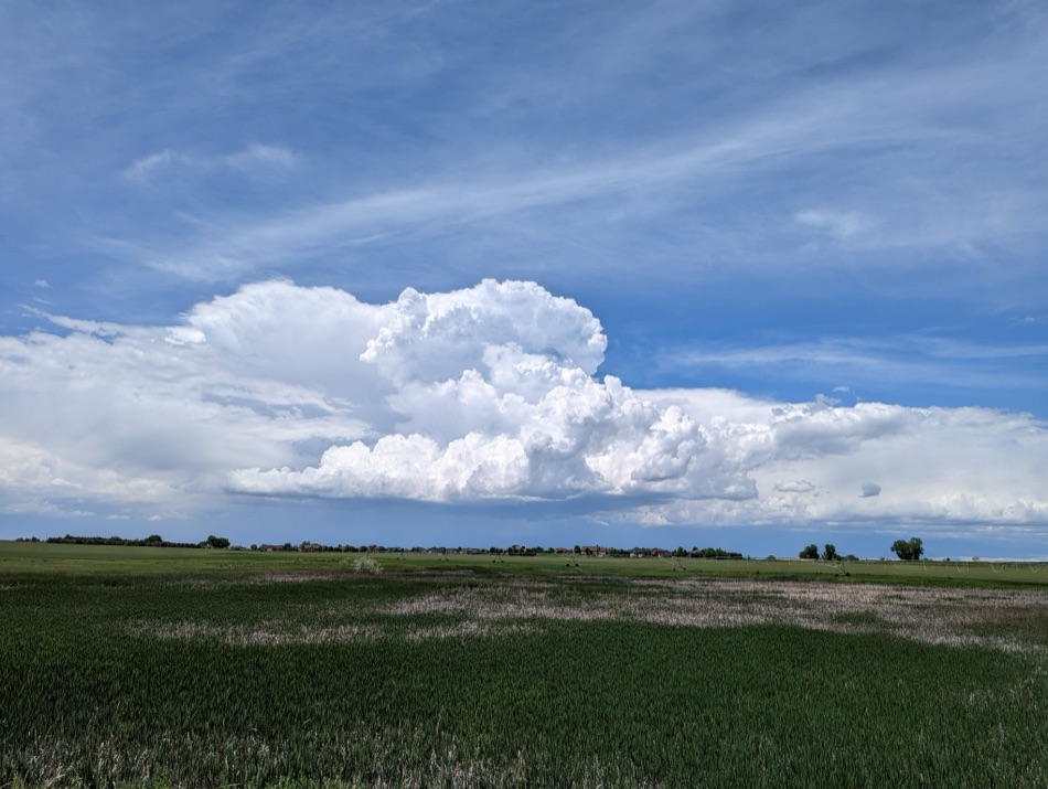 Summer Cumulus 2