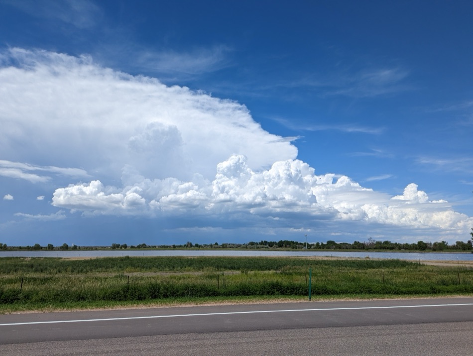 Summer Cumulus