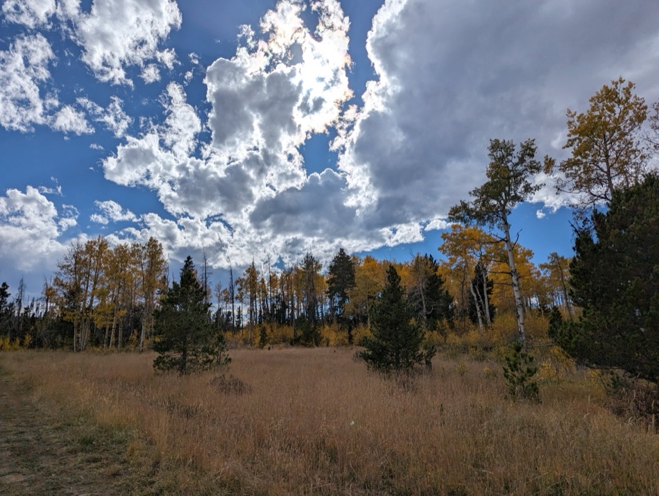Backlit Stratus over Fall Aspens